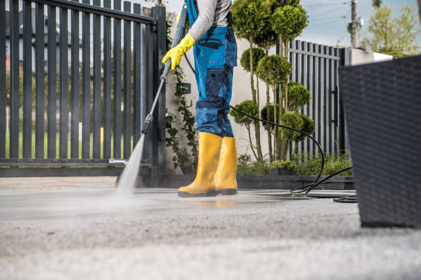 Pre-Holiday Cleaning in Senoia, GA